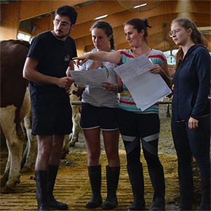 Nouvelle campagne Montbéliarde