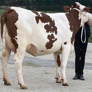 Expo digitale UMOTEST : ça tourne !