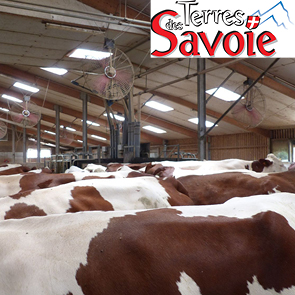 Adaptez votre bâtiment pour anticiper les changements climatiques