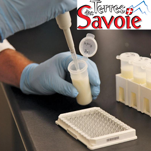 Gest’Lait : le test de gestation pour vache