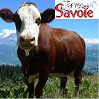 La lutte contre les mouches doit être précoce pour être efficace