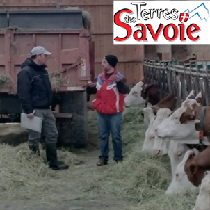 Une demi-journée d’échanges sur le pâturage, jeudi 5 mai au Sappey