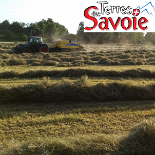 Fromageabilité du lait : mobilisation à tous les étages chez Éleveurs des Savoie