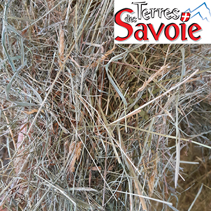 Des fourrages de meilleure valeur alimentaire mais des rendements hétérogènes