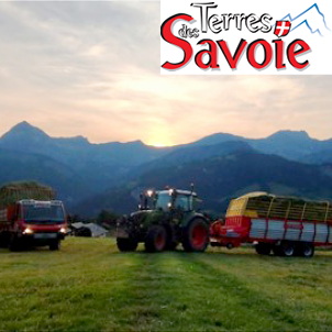 Foins 2023 : des quantités historiques mais des qualités hétérogènes