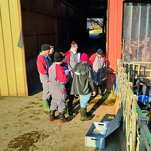 Formation : les acides gras