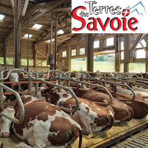 Le bâtiment : un refuge en toute saison