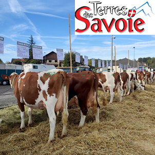 Éleveurs des Savoie aux côtés de l’APMH pour Vaches en Piste