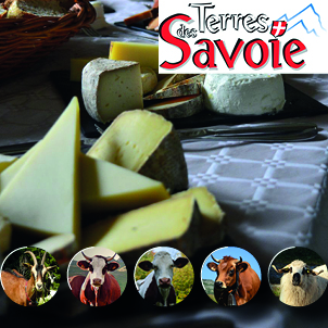 La fromageabilité du lait, un sujet toujours d’actualité pour Éleveurs des Savoie