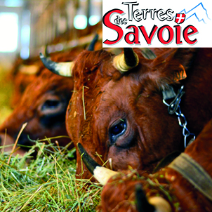 Connaître la qualité des foins 2024 pour préparer les rations hivernales