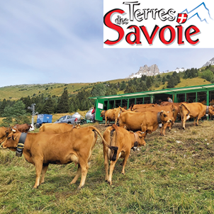 Des nouveautés et des simplifications cet été pour le contrôle laitier en alpage