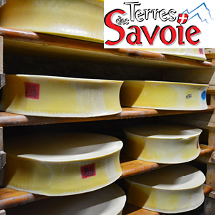 Producteurs de lait et fromagers : un savoir-faire collectif
