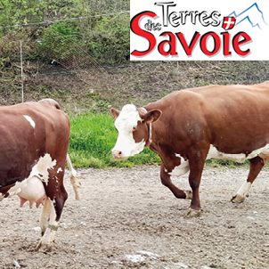 Le monitoring, un outil performant pour piloter son troupeau