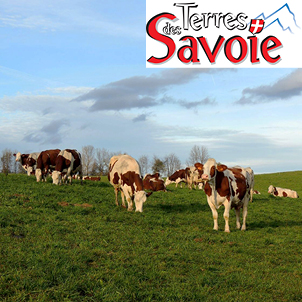 La transversalité des services de la coopérative  au profit de la fromageabilité des laits