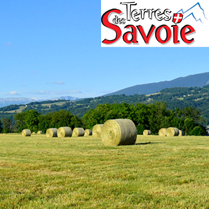 Premiers retours des analyses de fourrages 2024