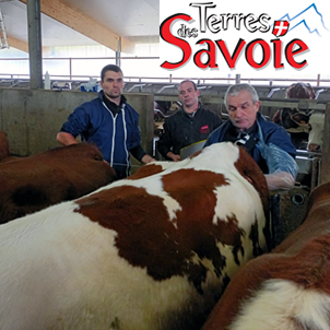 Bauges Gènes Avenir : quatre élevages au coeur d’un dispositif collectif