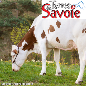 Le catalogue génétique Auriva 2023-2024 pour les races laitières savoyardes