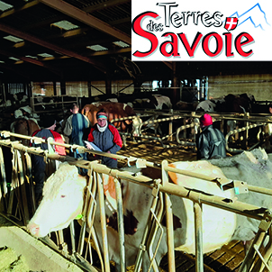 La visite « bilan d’état général du troupeau » d’Éleveurs des Savoie poursuit son évolution