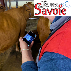 L’approche Techna Natual face aux enjeux et défis de la reproduction bovine de demain