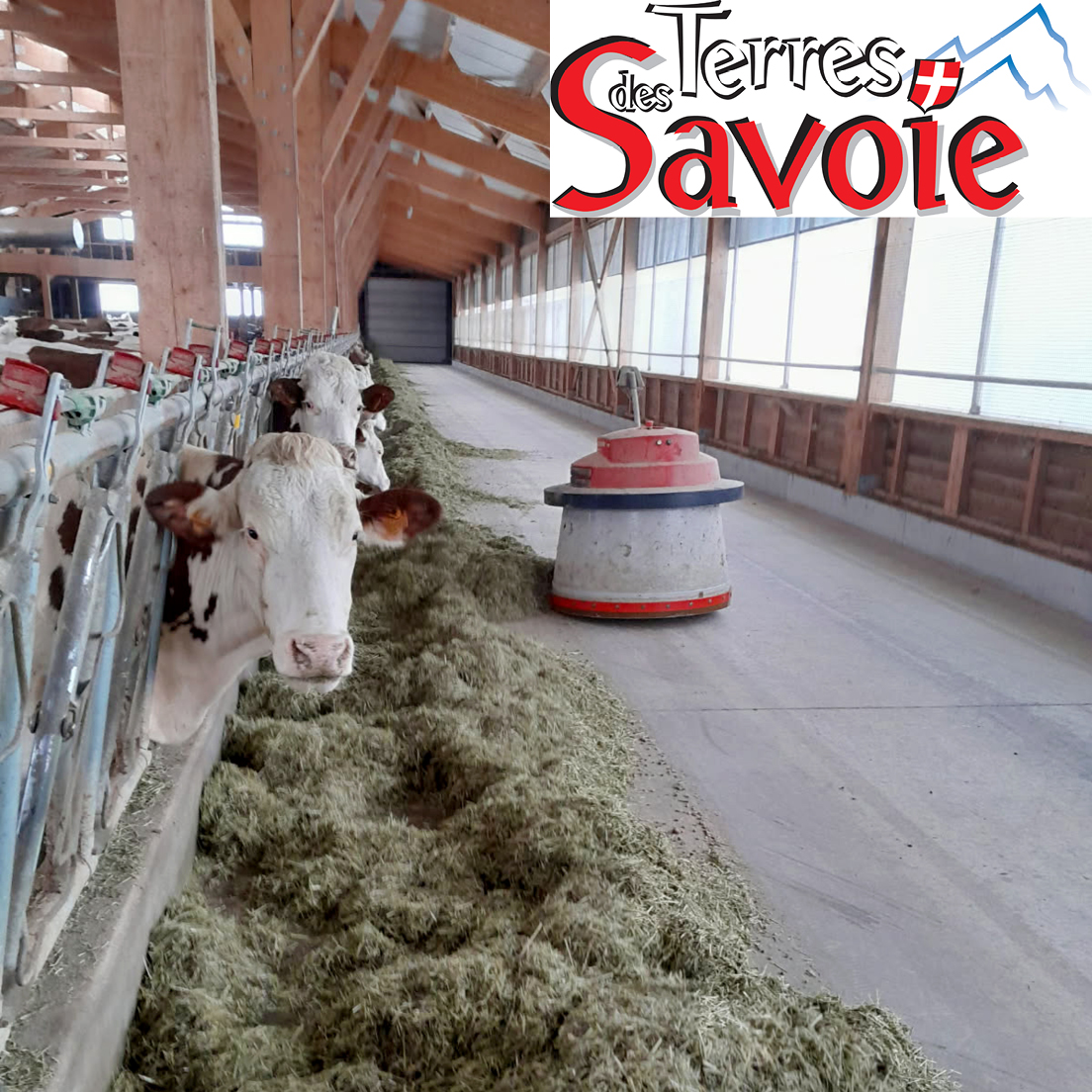 Montage photo site article TDS