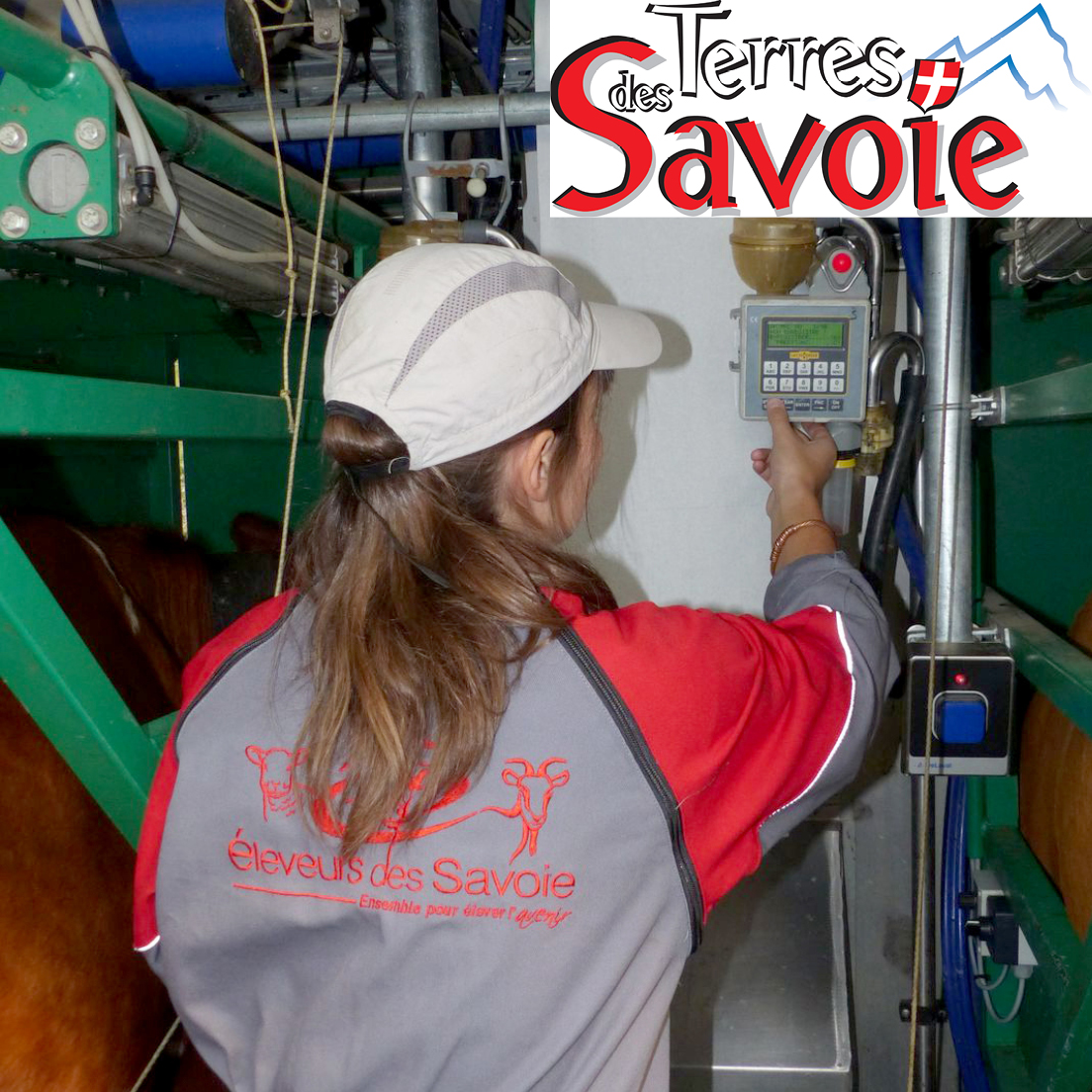 Réussite de l’audit SMQ : l’engagement des équipes Éleveurs des Savoie est récompensé