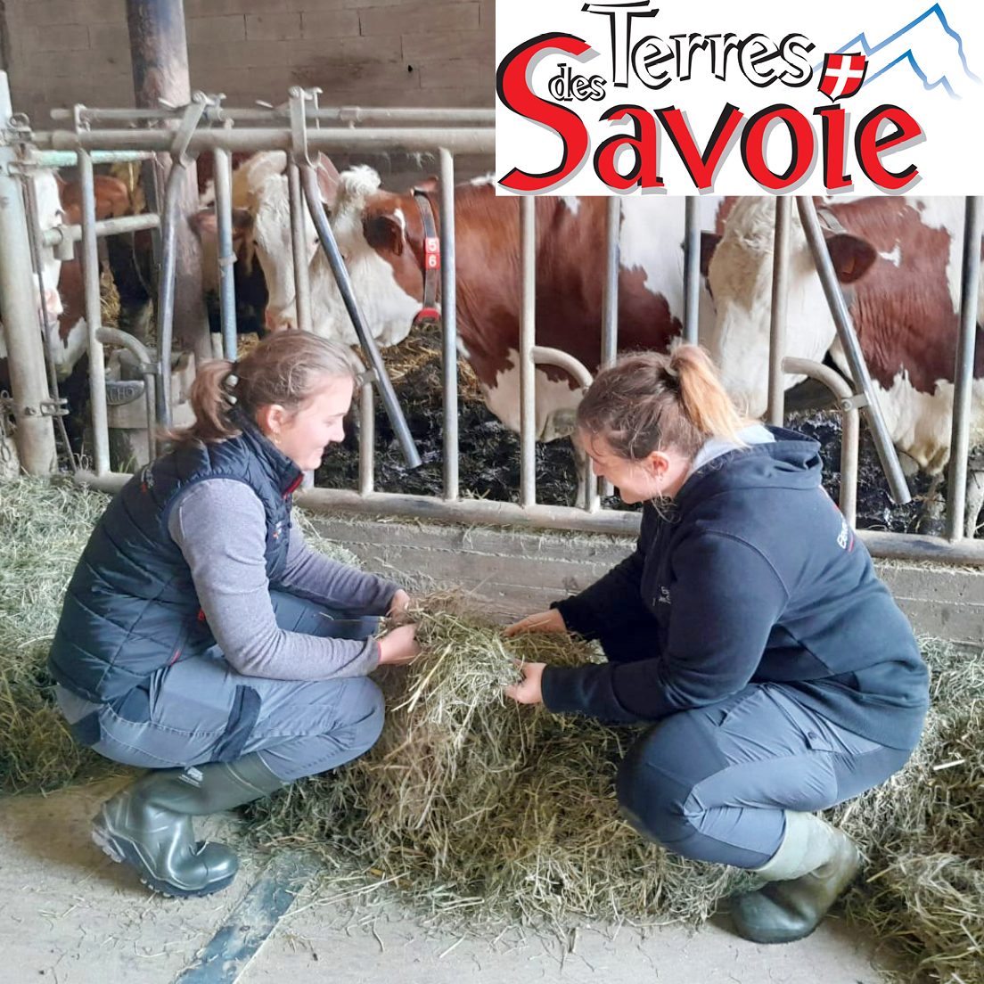 La coopérative EDS engagée dans la formation